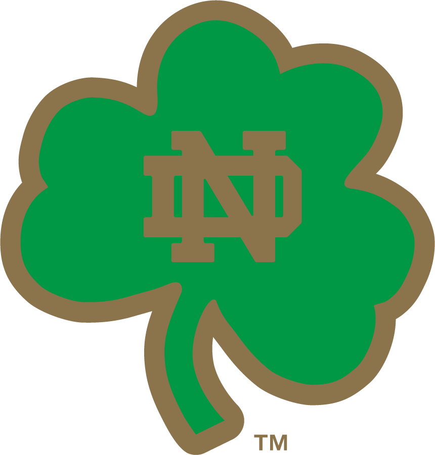 Notre Dame Fighting Irish 2006-2015 Secondary Logo diy iron on heat transfer